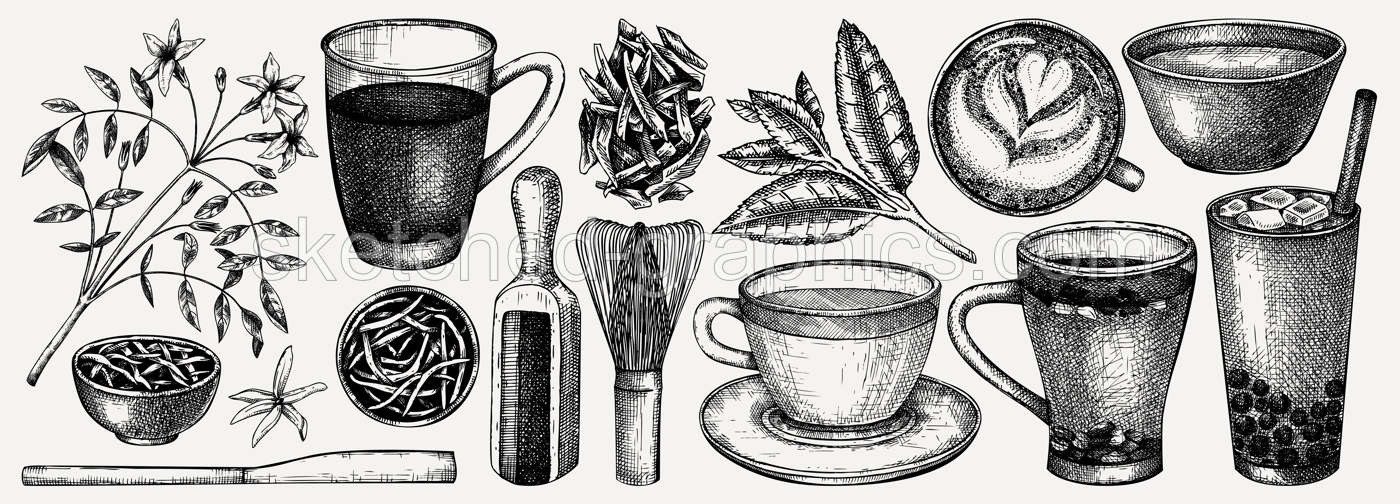 Hand-sketched tea drinks and ingredients collection. Vector sketches of hot beverage cups, dried leaves, jasmine blossom. Green Tea, black tea, white tea, matcha drawing for menu design on white Illustration